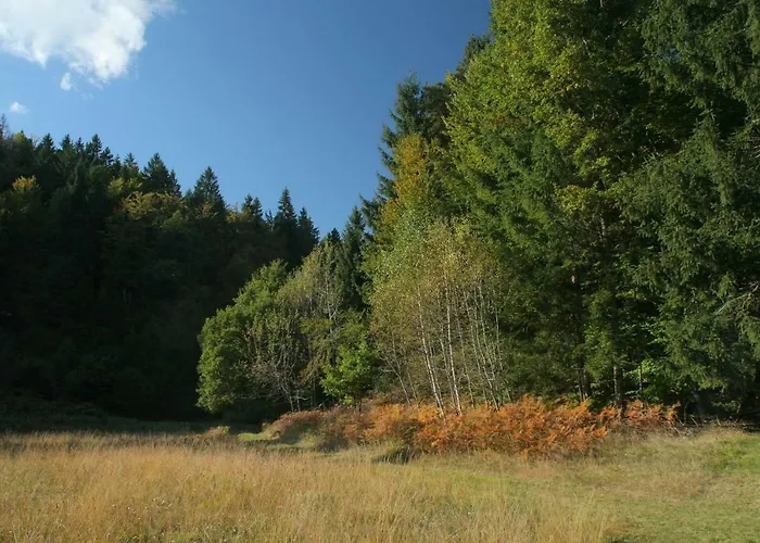 Domek letniskowy Fikfak Bled