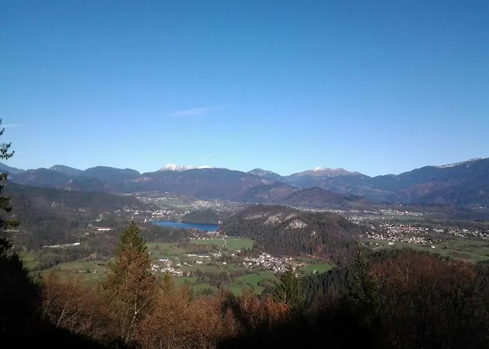 Hytte Fikfak Bled